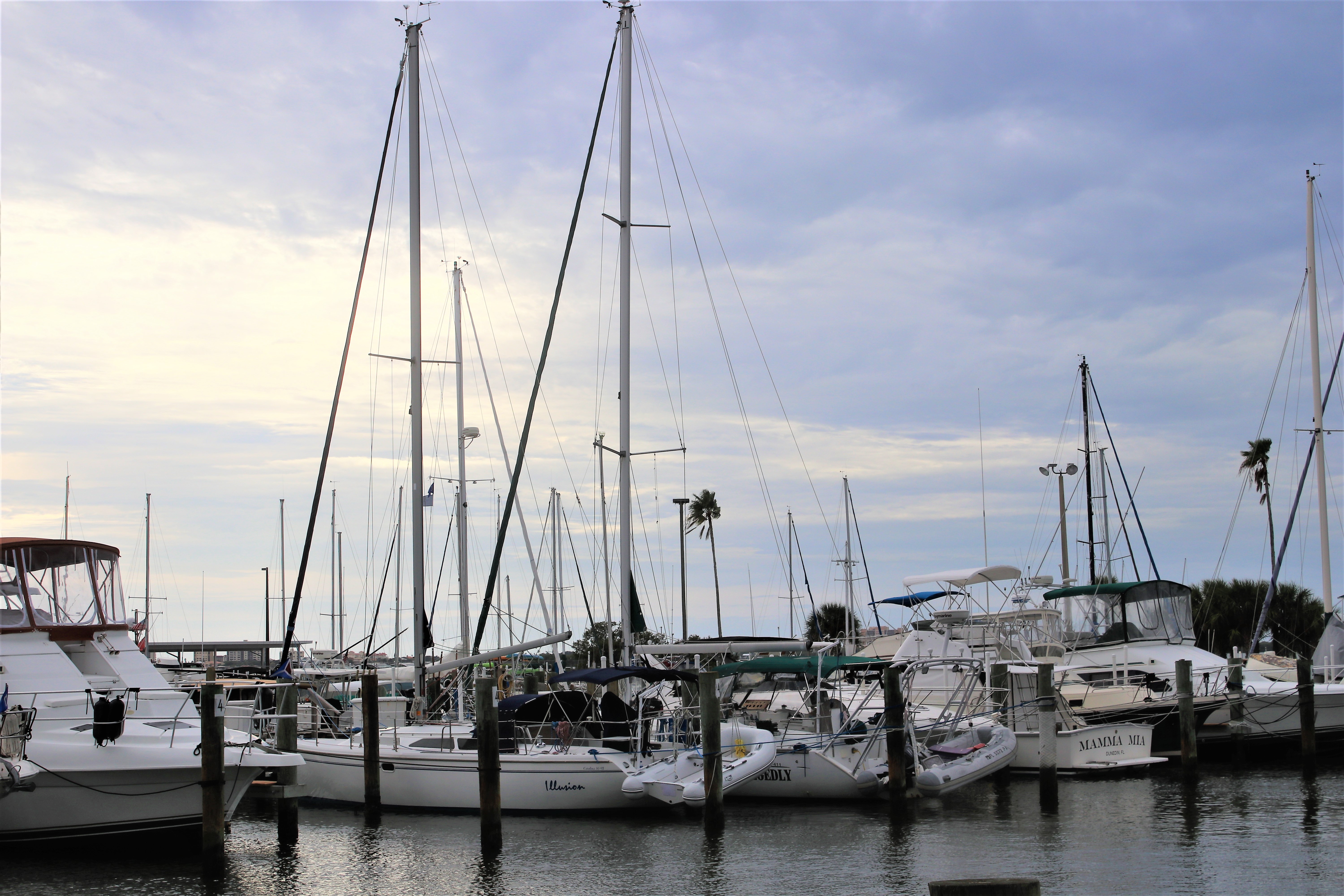 Sailboats moored at Dunedin Marina