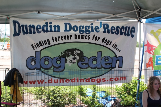 Dunedin Doggie Rescue banner at a local event in Dunedin, Florida