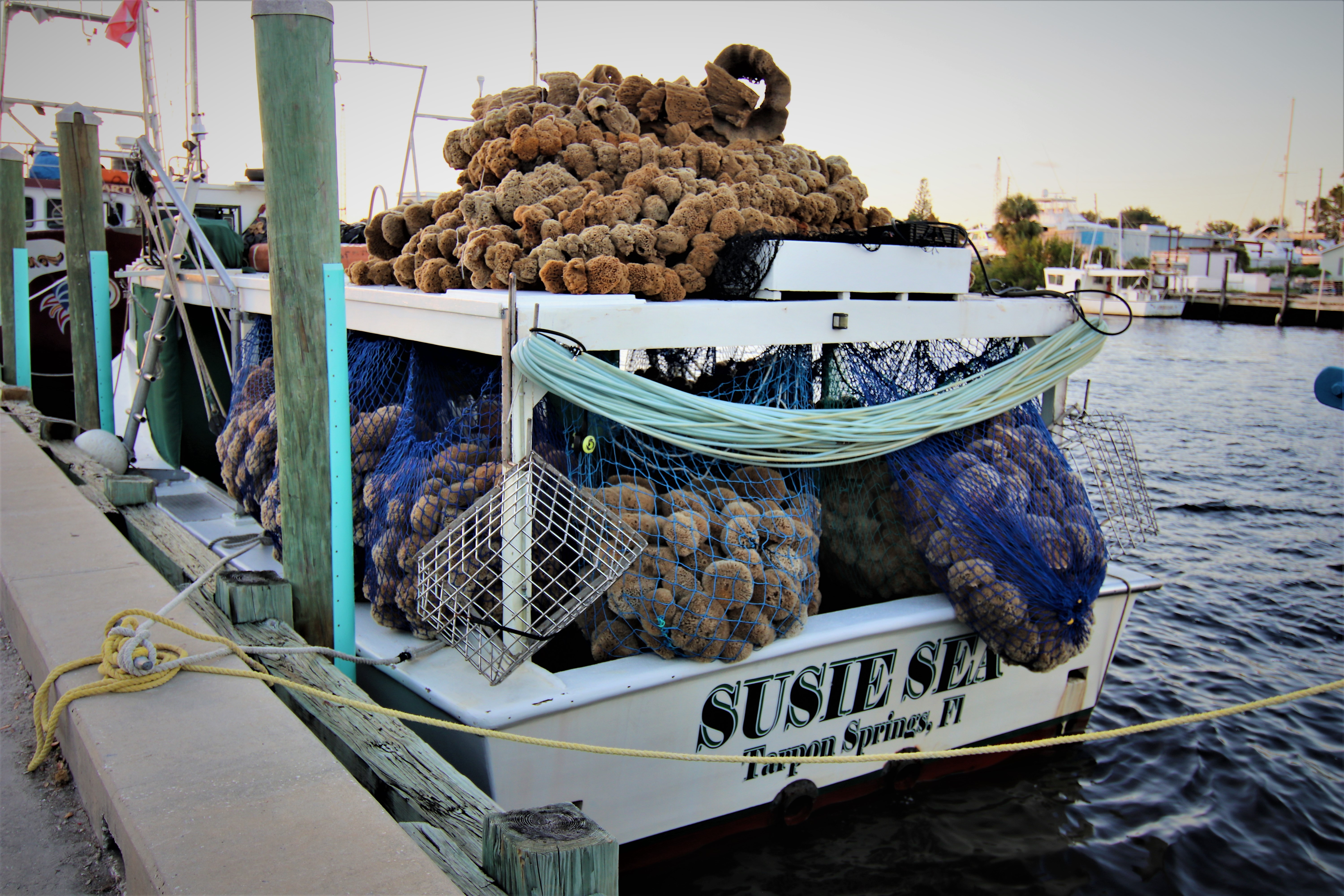 Sponge boat loaded with natural sponges docked along the Anclote River in Tarpon Springs