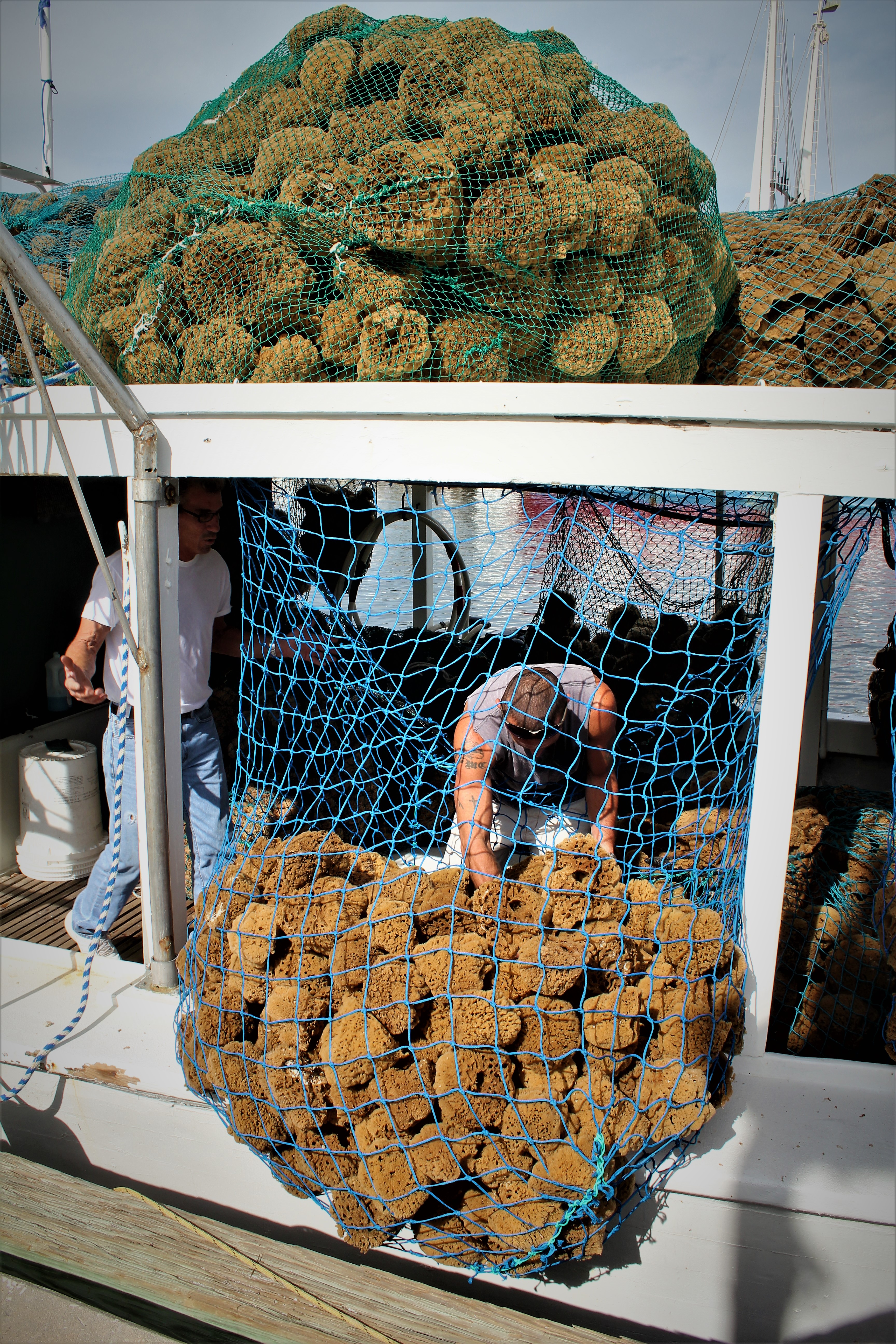Workers offloading nets full of natural sponges from a boat at the Tarpon Springs docks