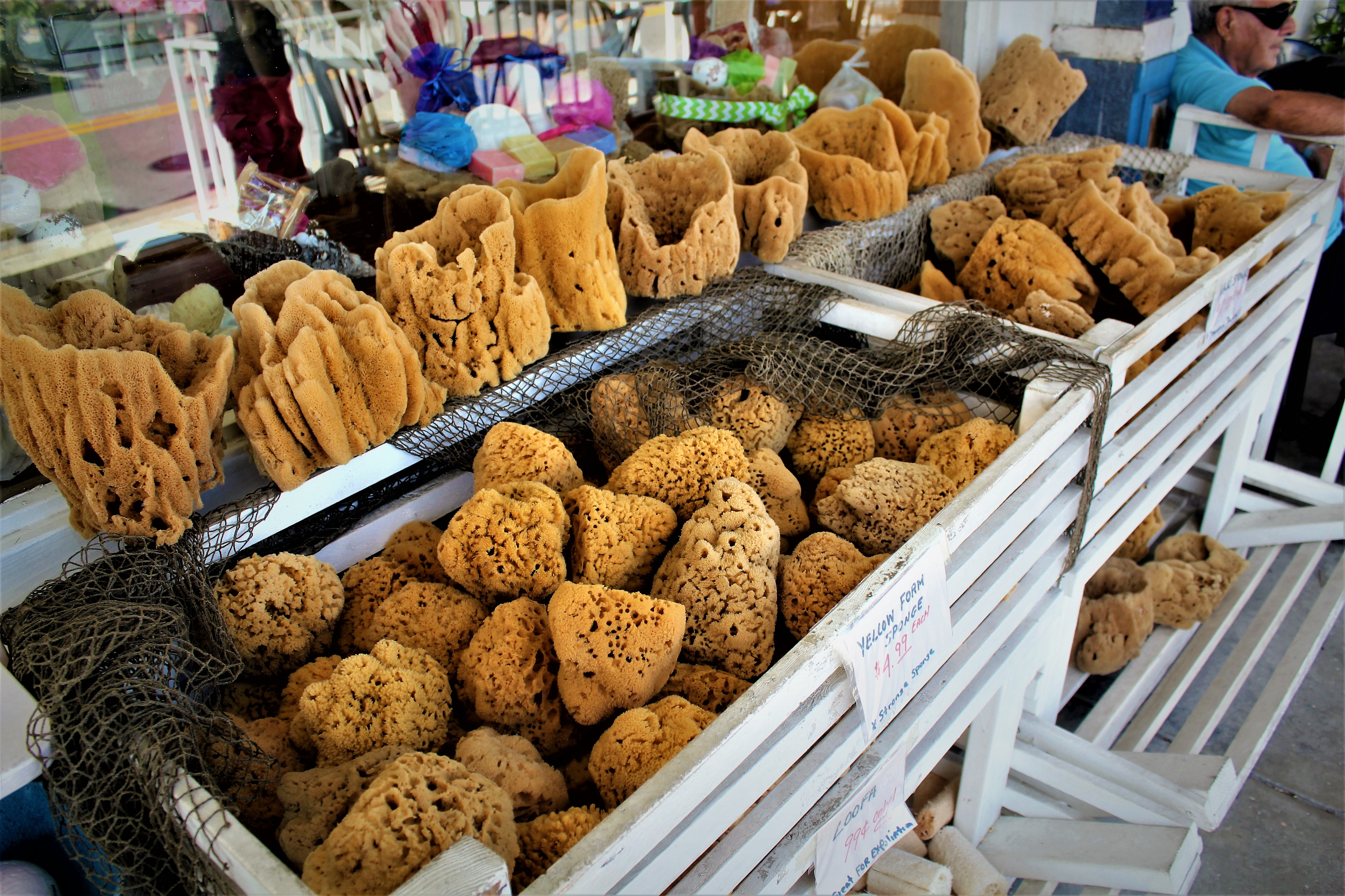 Natural sponges for sale at a shop along the Sponge Docks in Tarpon Springs, Florida