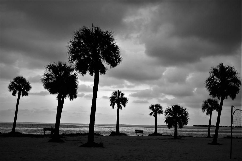 North Pinellas Beaches: Which One Feels Like&nbsp;Yours?